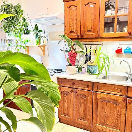 Apartament Margaret Bridge Cosy Flat Budapeszt Zewnętrze zdjęcie