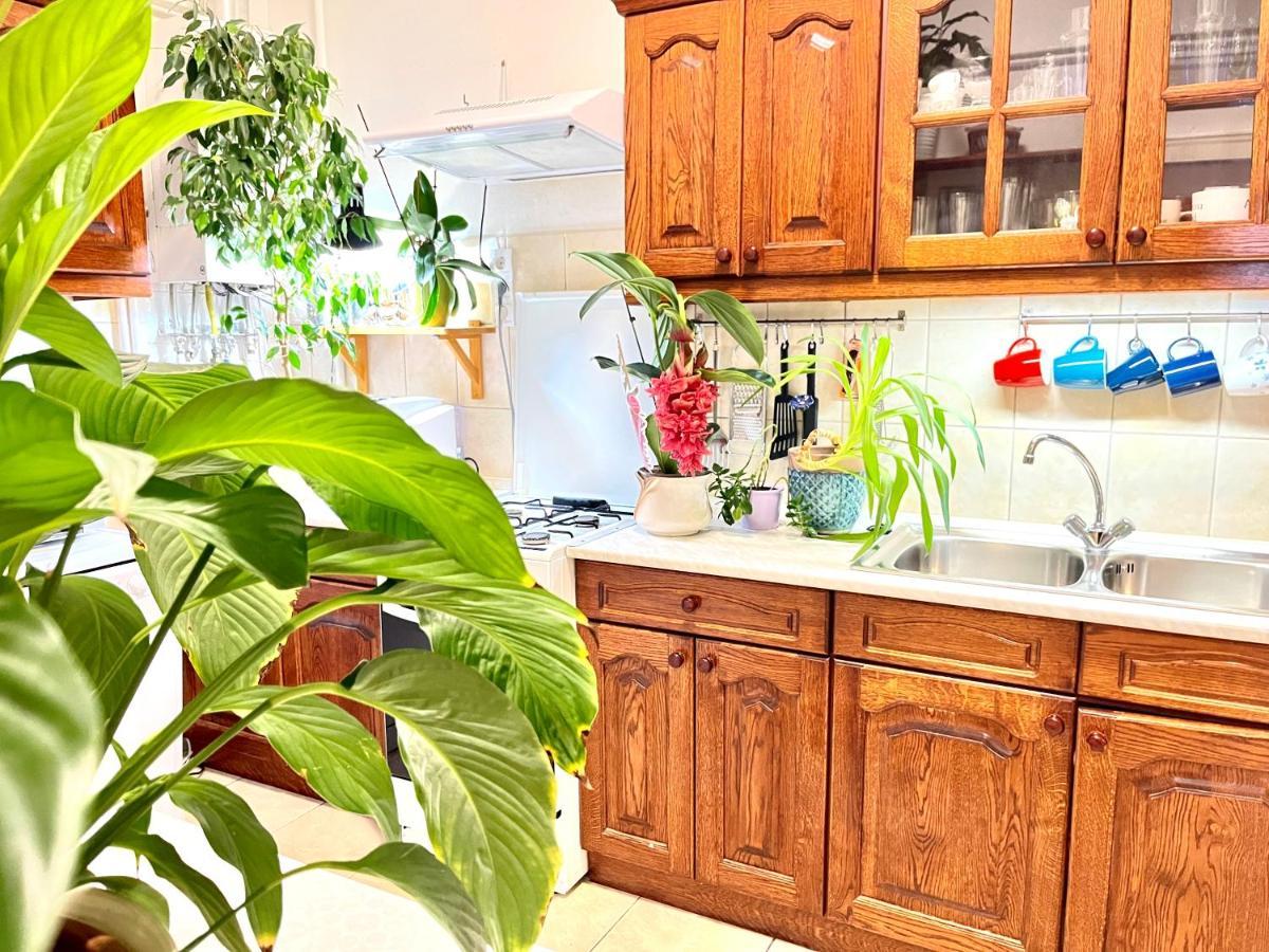 Apartament Margaret Bridge Cosy Flat Budapeszt Zewnętrze zdjęcie